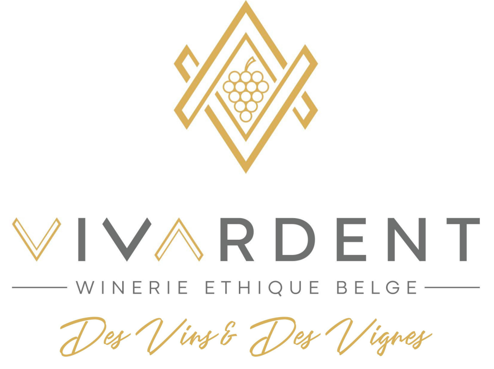 VIvardent logo 