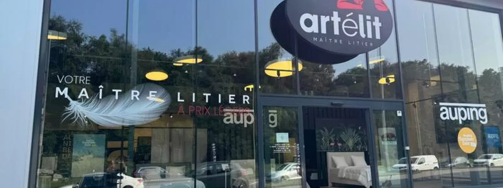 Artélit Image
