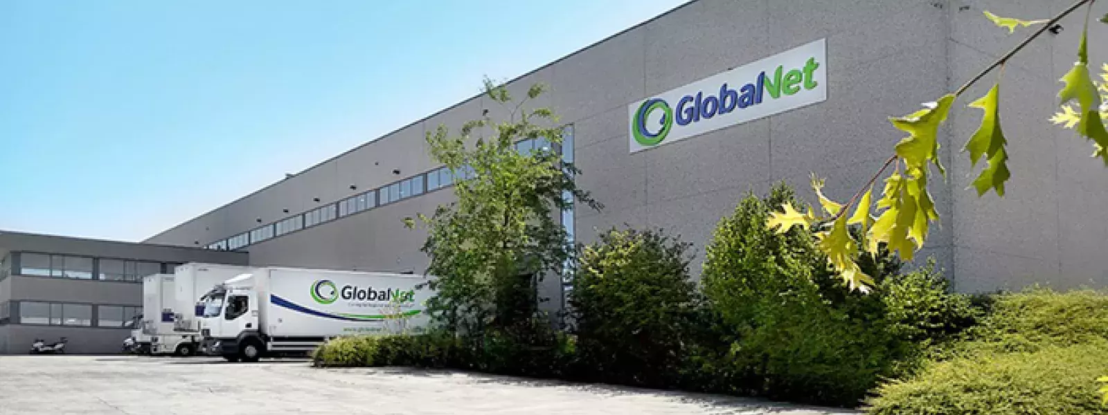 Image Global Net