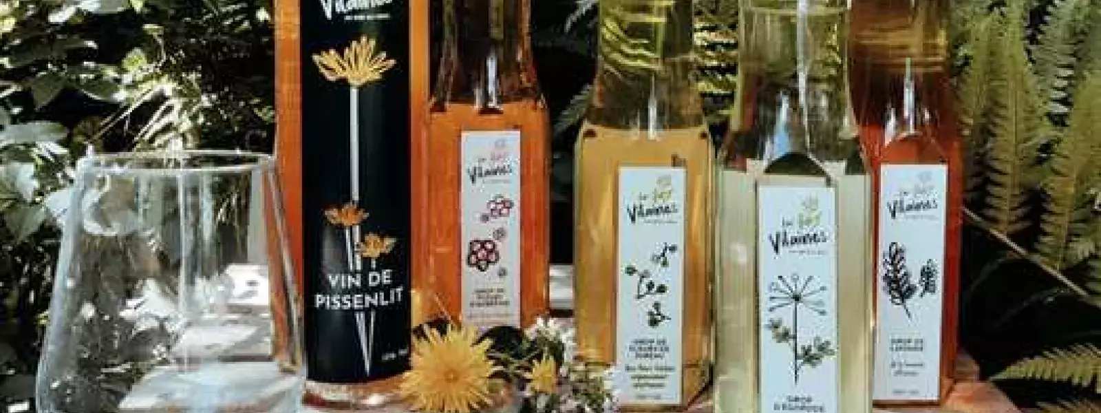 Les vilaines photo