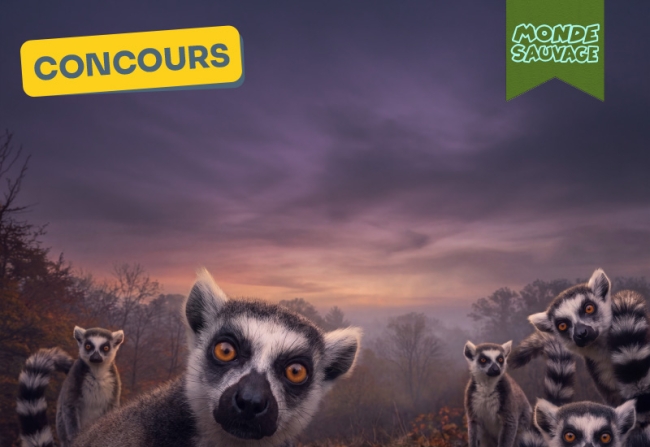 Concours - Monde sauvage