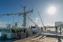 Image Marine Belge 