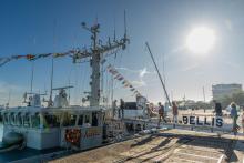 Image Marine Belge 