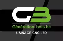 Generation Bois LOGO