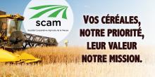 Affichage d'une bâche sur dépot pour la récolte des céréales durant la moisson